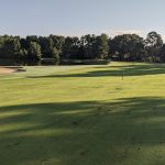 green grass with the flag in the hole.