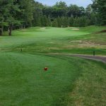 green grass with the flag in the hole.