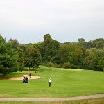 green grass with the flag in the hole.
