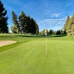 green grass with the flag in the hole.