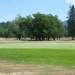 green grass with the flag in the hole.