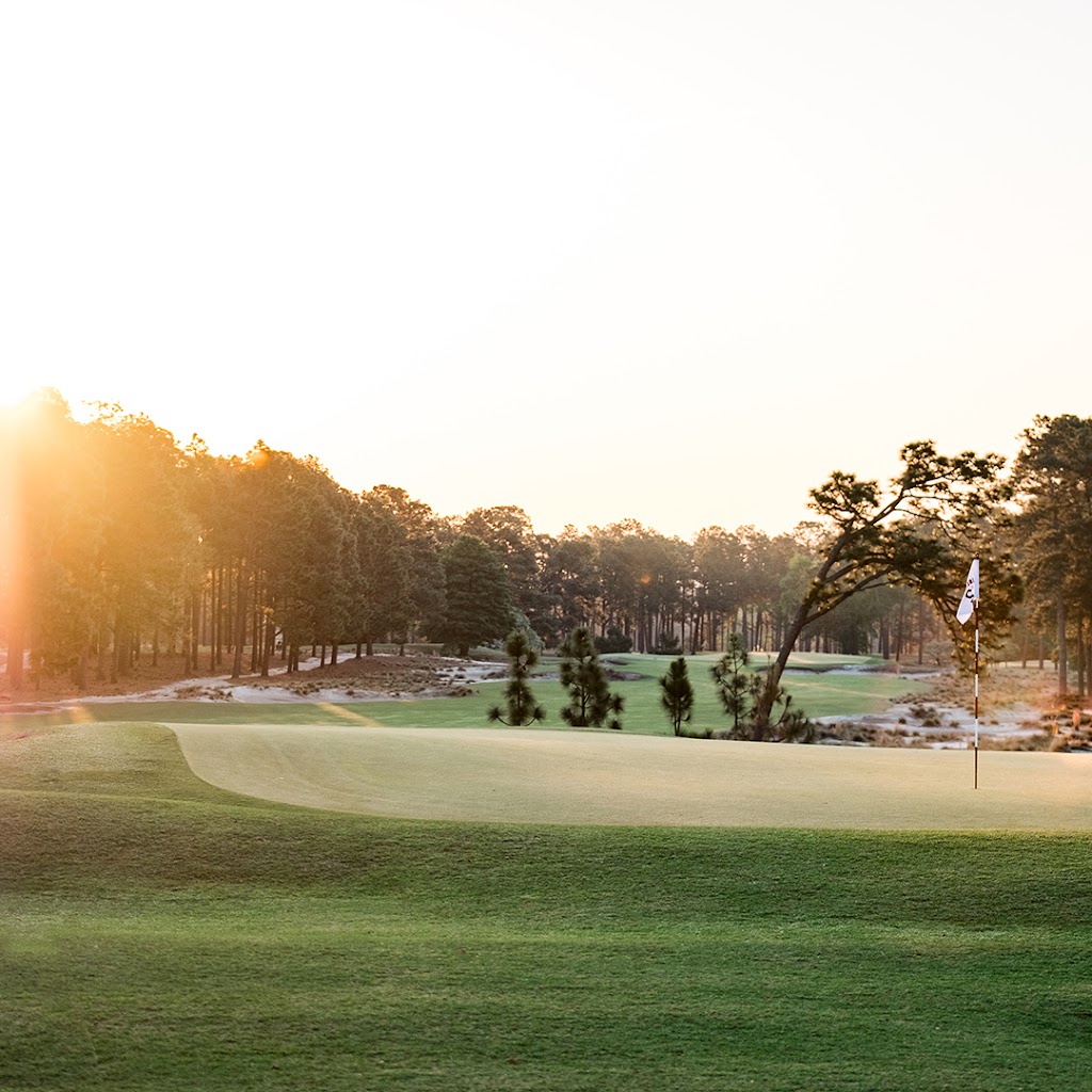 Panoramic view of a lush green golf course at Pinehurst No. 2. Smooth