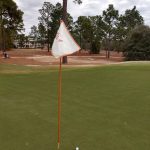 green grass with the flag in the hole.