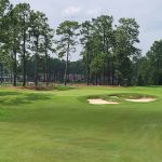 green grass with the flag in the hole.