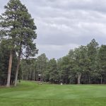 green grass with the flag in the hole.