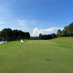 green grass with the flag in the hole.