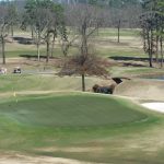Panoramic view of a lush green golf course at Pleasant Valley Country Club Turf Center. Smooth