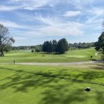green grass with the flag in the hole.