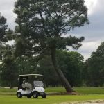 green grass with the flag in the hole.