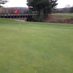 green grass with the flag in the hole.