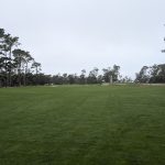 green grass with the flag in the hole.
