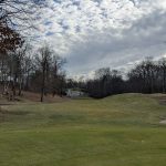 green grass with the flag in the hole.