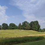 Panoramic view of a lush green golf course at Portland Golf Course West. Smooth