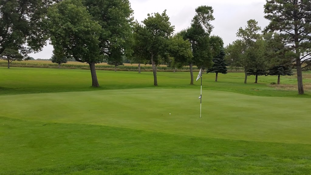 green grass with the flag in the hole.