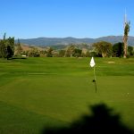 green grass with the flag in the hole.
