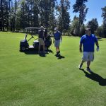 green grass with the flag in the hole.