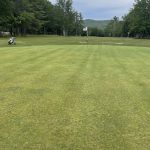 green grass with the flag in the hole.