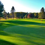 green grass with the flag in the hole.