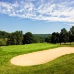 green grass with the flag in the hole.