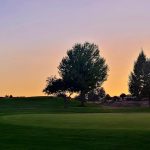 green grass with the flag in the hole.