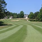 green grass with the flag in the hole.