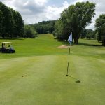 green grass with the flag in the hole.