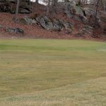 green grass with the flag in the hole.