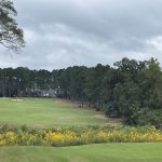 Panoramic view of a lush green golf course at RTJ Golf Trail at Highland Oaks. Smooth