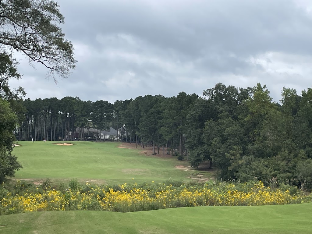 Panoramic view of a lush green golf course at RTJ Golf Trail at Highland Oaks. Smooth