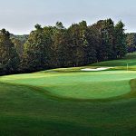 green grass with the flag in the hole.