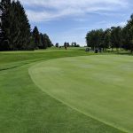 green grass with the flag in the hole.