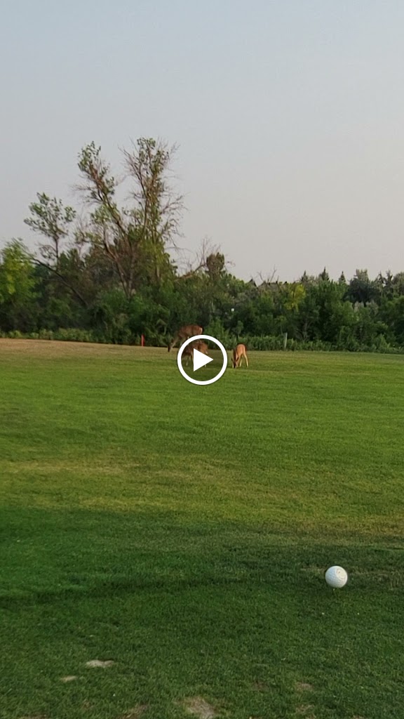 Panoramic view of a lush green golf course at Rapid City Elks Golf Course. Smooth
