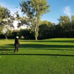 green grass with the flag in the hole.