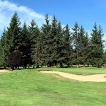 green grass with the flag in the hole.