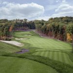 green grass with the flag in the hole.