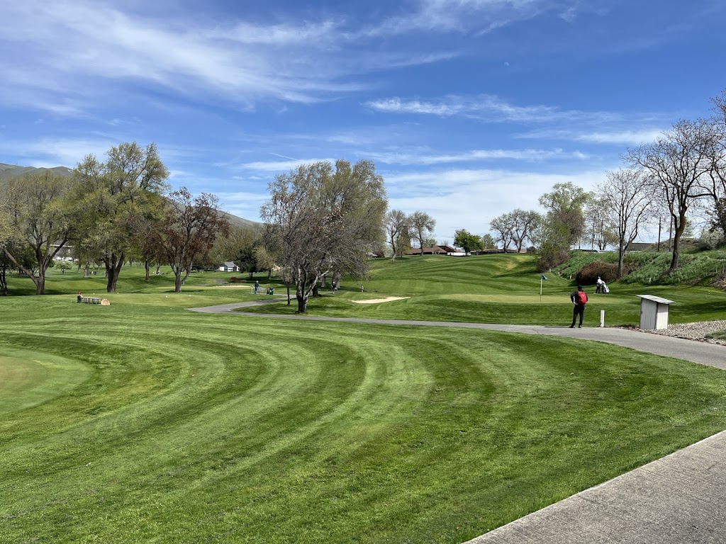 Panoramic view of a lush green golf course at Red Wolf Golf Club. Smooth