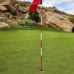 green grass with the flag in the hole.