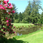 Panoramic view of a lush green golf course at Reedsport Golf Course - Public Welcome (formerly Forest Hills CC). Smooth