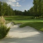 green grass with the flag in the hole.