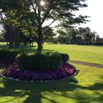 green grass with the flag in the hole.