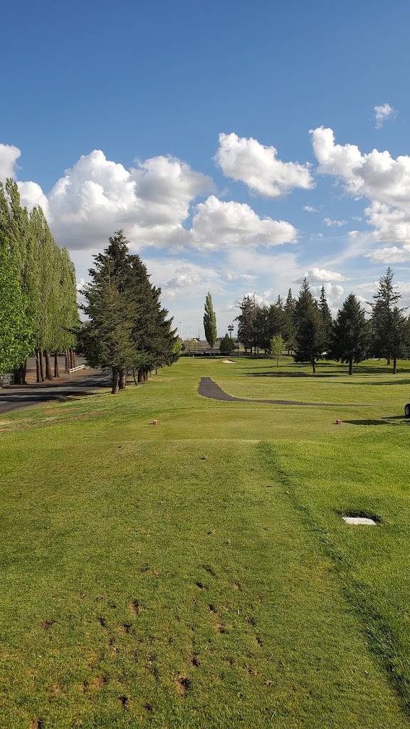 Panoramic view of a lush green golf course at Ritzville Golf Course. Smooth