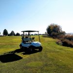 green grass with the flag in the hole.