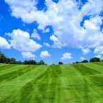 green grass with the flag in the hole.