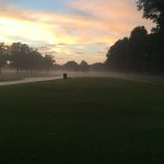 green grass with the flag in the hole.