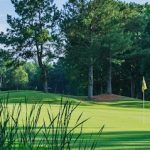 Panoramic view of a lush green golf course at RiverPines Golf. Smooth