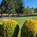 Panoramic view of a lush green golf course at Riverside Golf Club & Bistro (Including The Rooftop Bar). Smooth