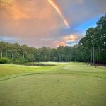 green grass with the flag in the hole.