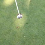 green grass with the flag in the hole.