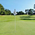 green grass with the flag in the hole.