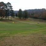 green grass with the flag in the hole.